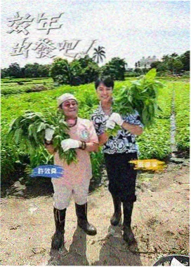 樱桃音乐节
